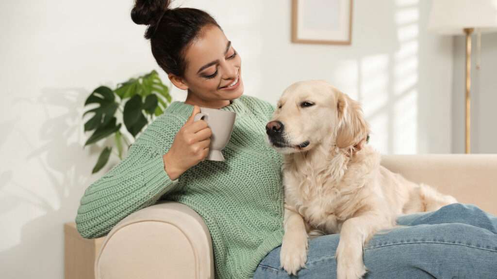 8 Things to Consider When Purchasing Comfortable Couches for Family Den