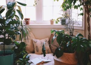 Cozy Reading Nook